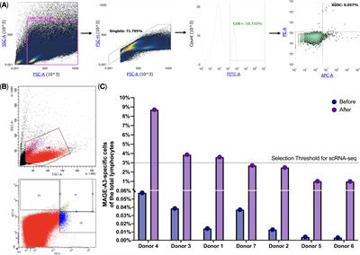 Modified Dendritic cell-based T-cell expansion protocol and single-cell multi-omics allow for the selection of the most expanded and in vitro-effective clonotype via profiling of thousands of MAGE-A3-specific T-cells